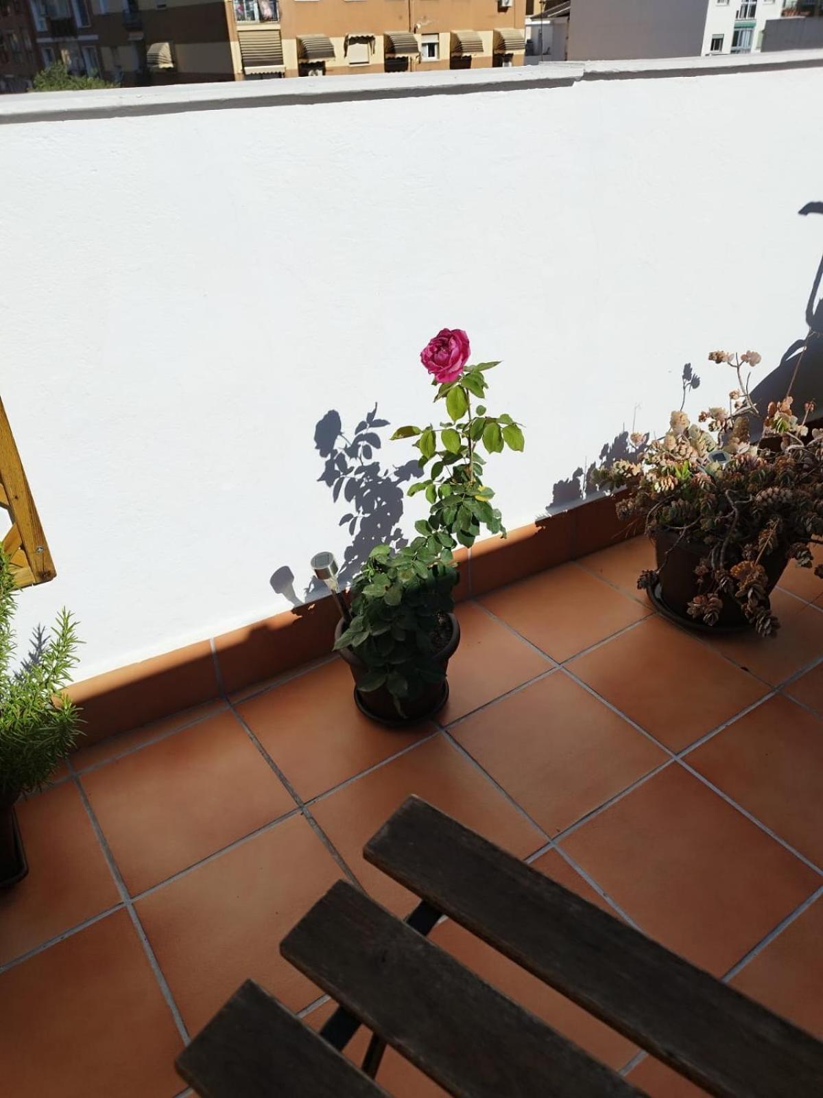Apartamento Plumaria