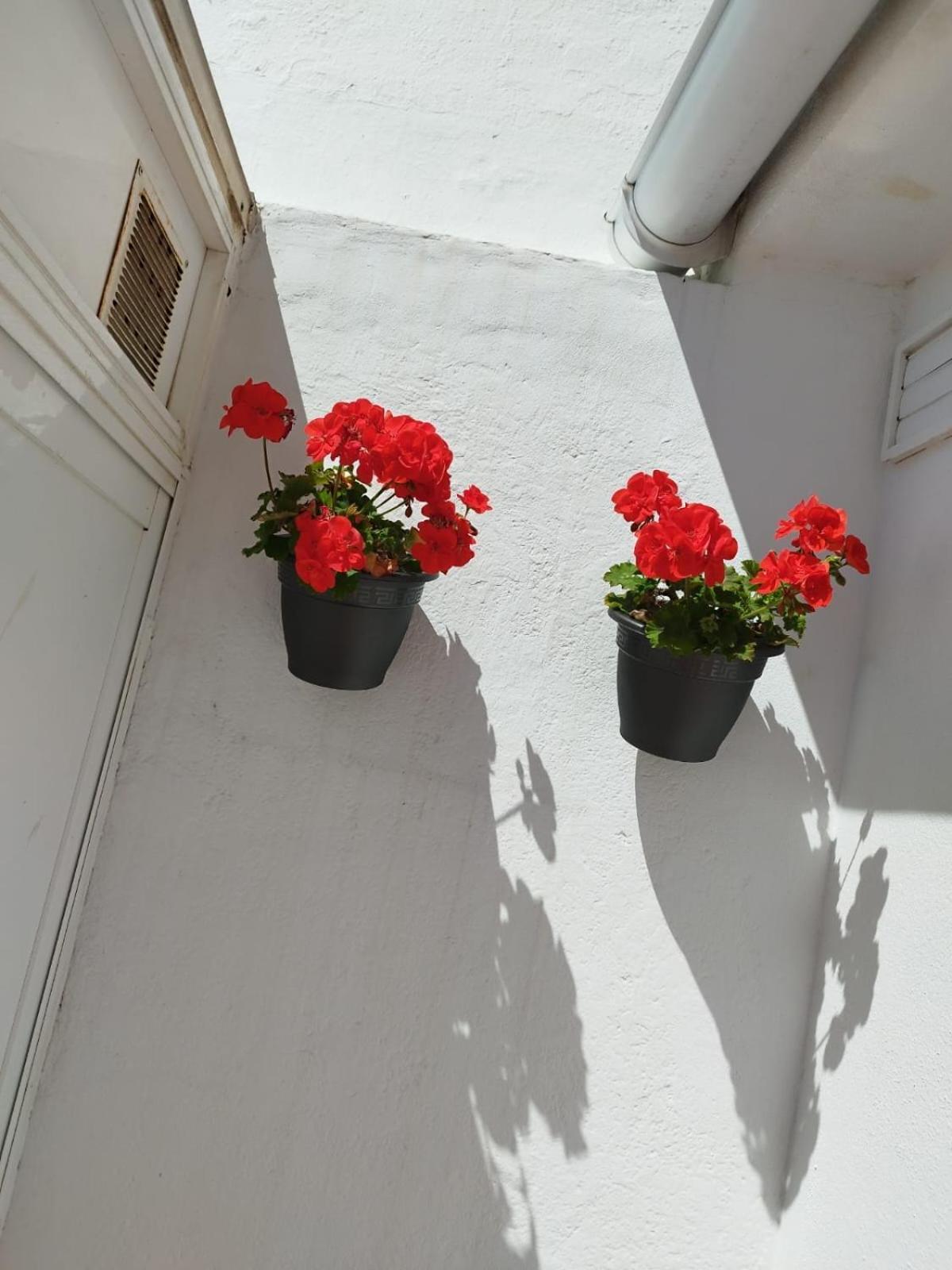 Plumaria Malaga